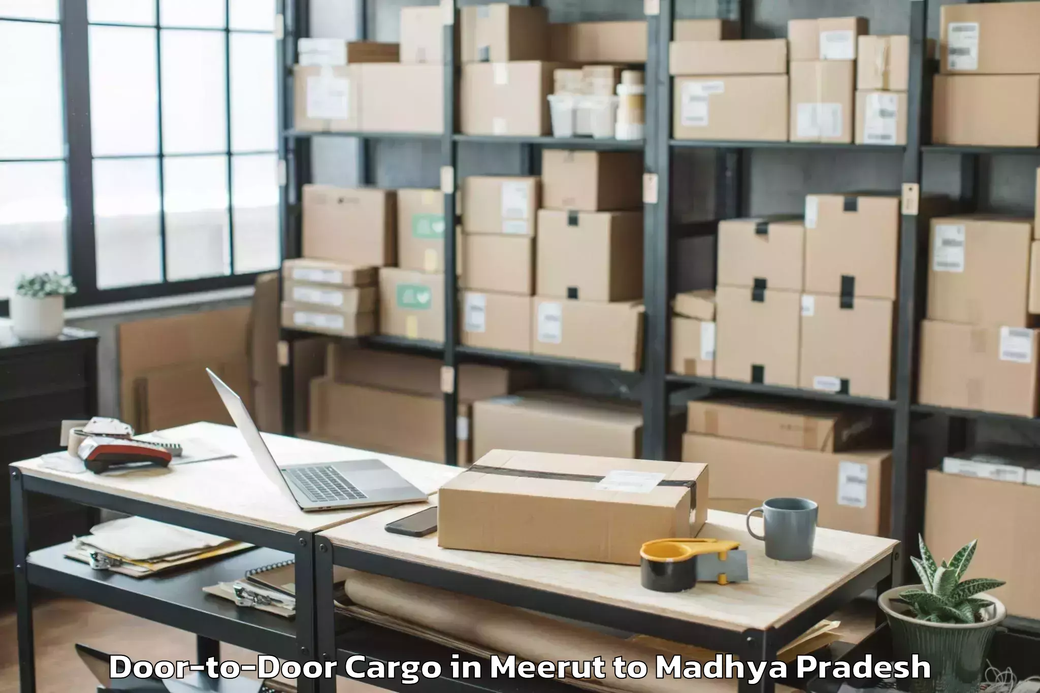 Book Meerut to Kareli Door To Door Cargo Online